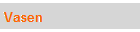 Vasen